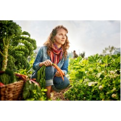 Concurso de Rainha e Princesas acontece na 2ª edição da Festa do Agricultor de Campo Largo